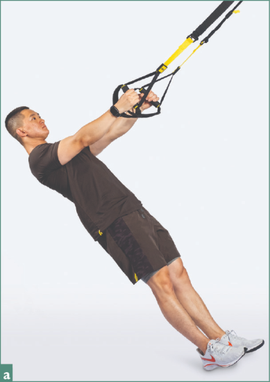 Fig A TRX Explosive Row to Pallof Press