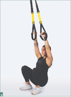 Fig a TRX chinup