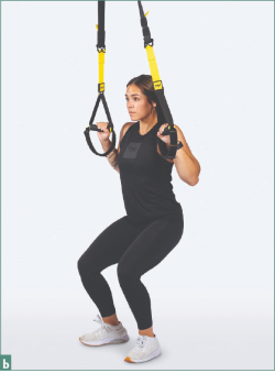 Fig b TRX chinup