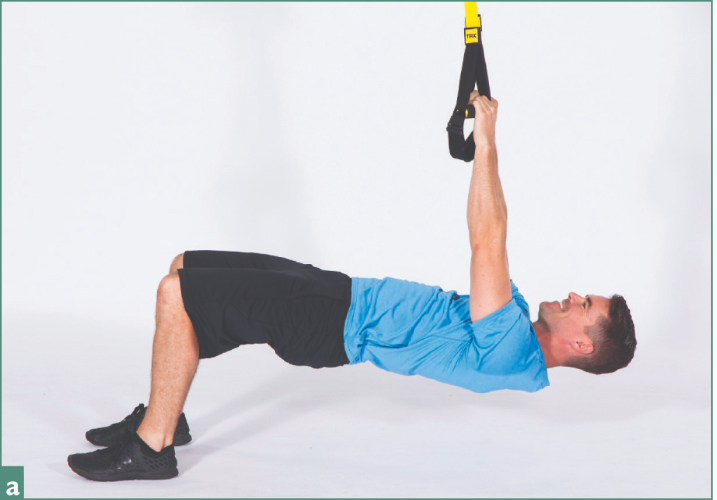 Fig a TRX inverted row