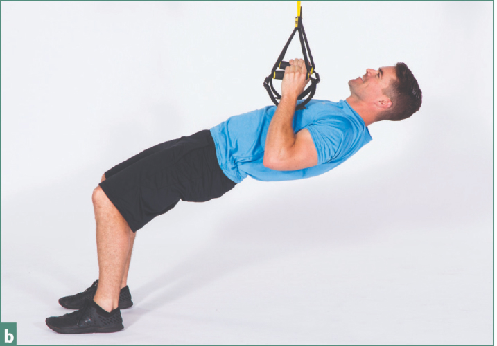 Fig b TRX inverted row